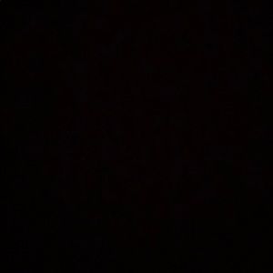 Meet your Posher, Dani